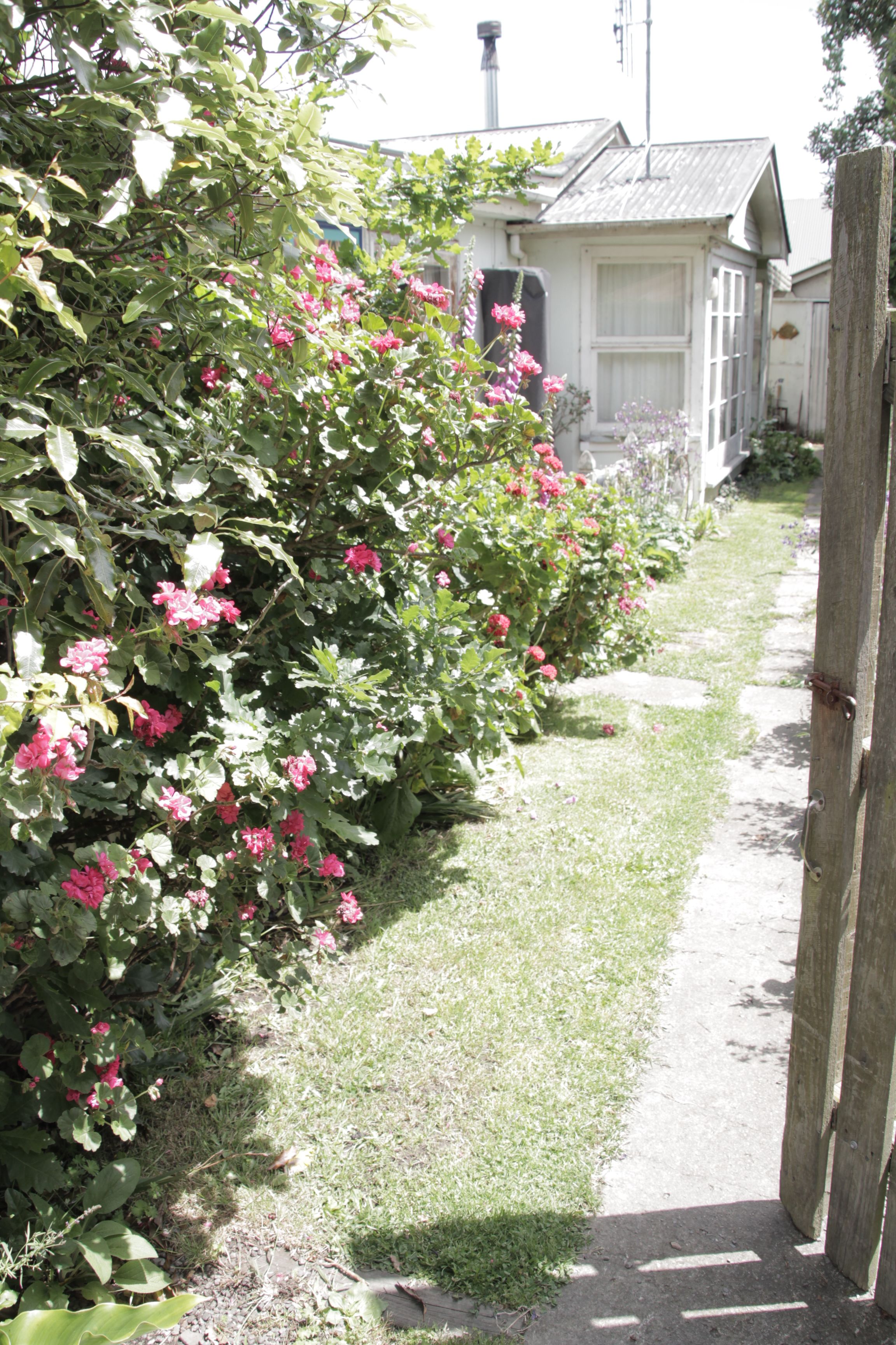 Peter’s home was a riot of colour outside too, thanks to his flowering garden.