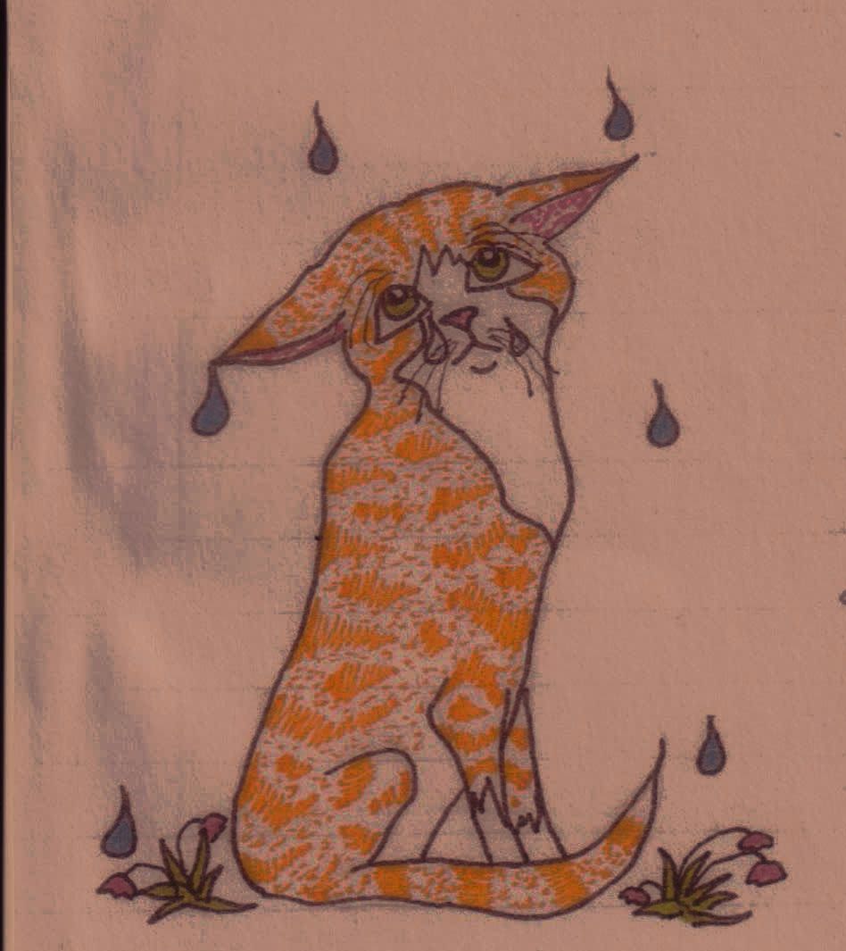 A drawing of a cat crying done by Peter Ellis, from a letter sent while he was in prison.
