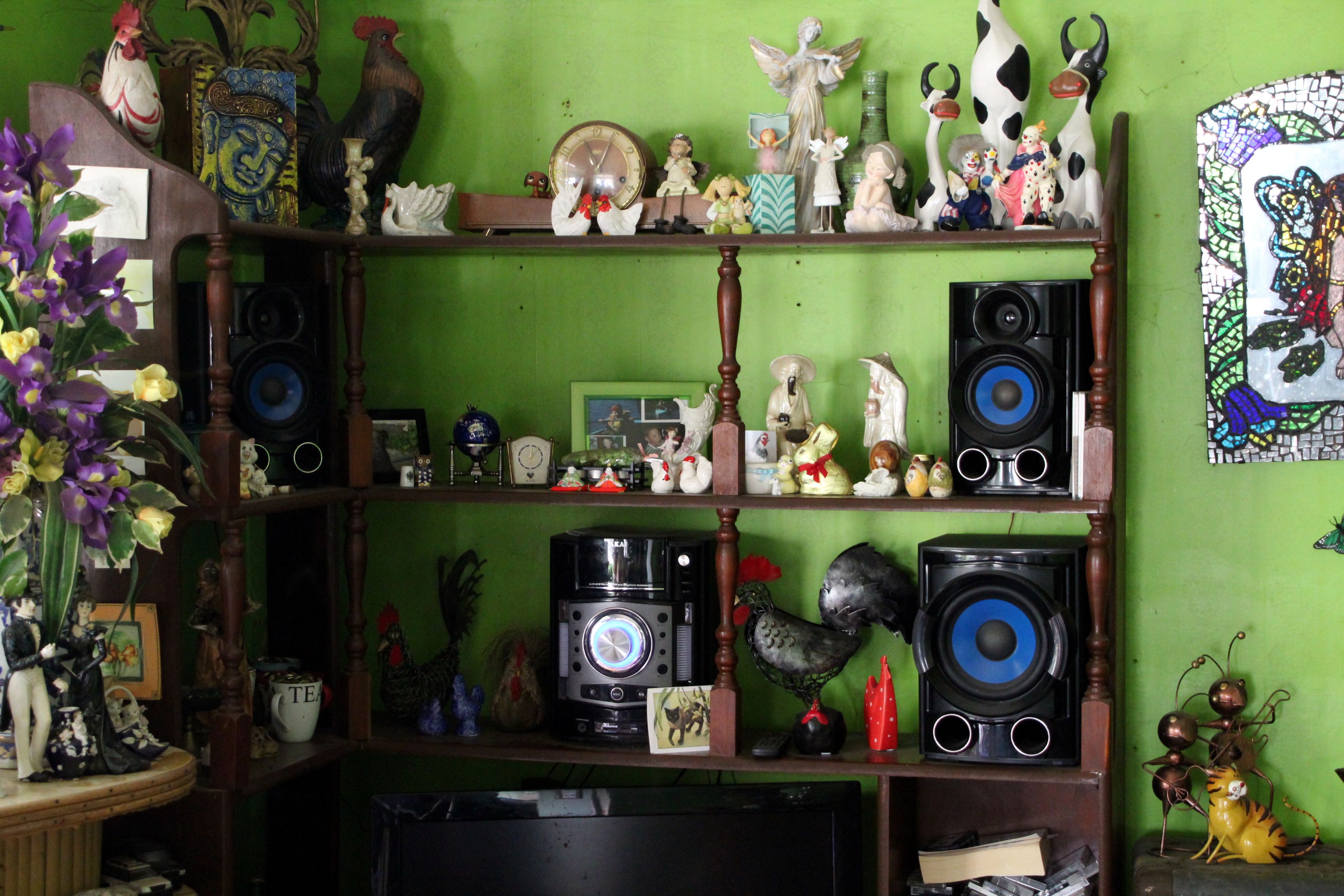 A book shelf in Peter’s lounge holds a stereo and untold ornaments